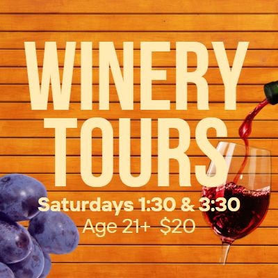 Saturday Winery Tour 1