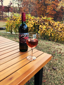 Cranberry Blush - View 3