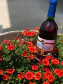 Southern Blush - View 2