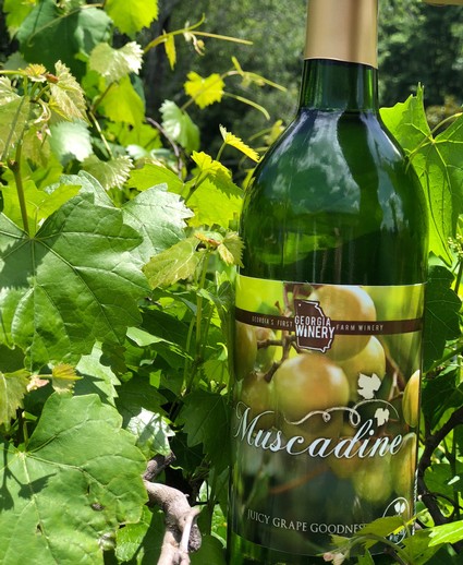 Muscadine winery near me 2025