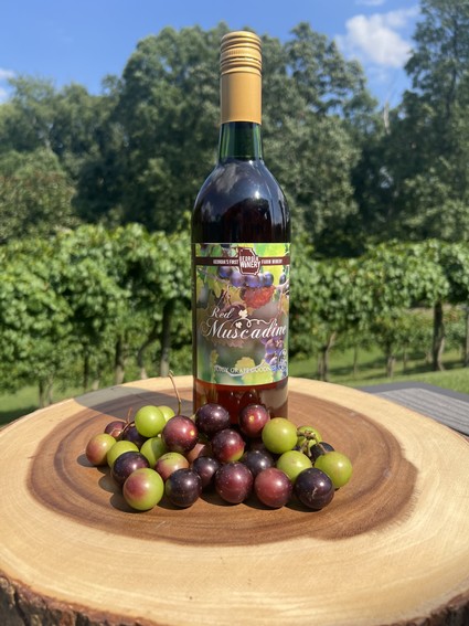 Bottle Post Red Muscadine Wine Muscadine Winery Near Me Top